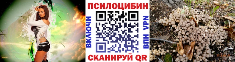 Псилоцибиновые грибы Psilocybine cubensis  Светлогорск 