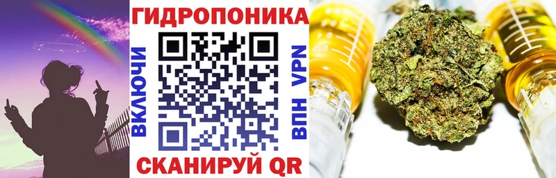 Бошки марихуана сатива  KRAKEN сайт  Светлогорск 